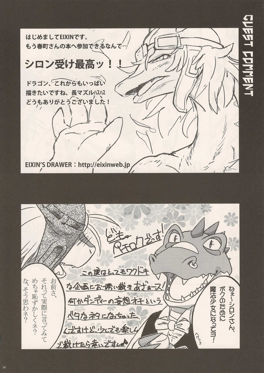 (C80) [Kimidori (Various)] Black Horse Love Hole (Legendz: Tale of the Dragon Kings) - Page 35