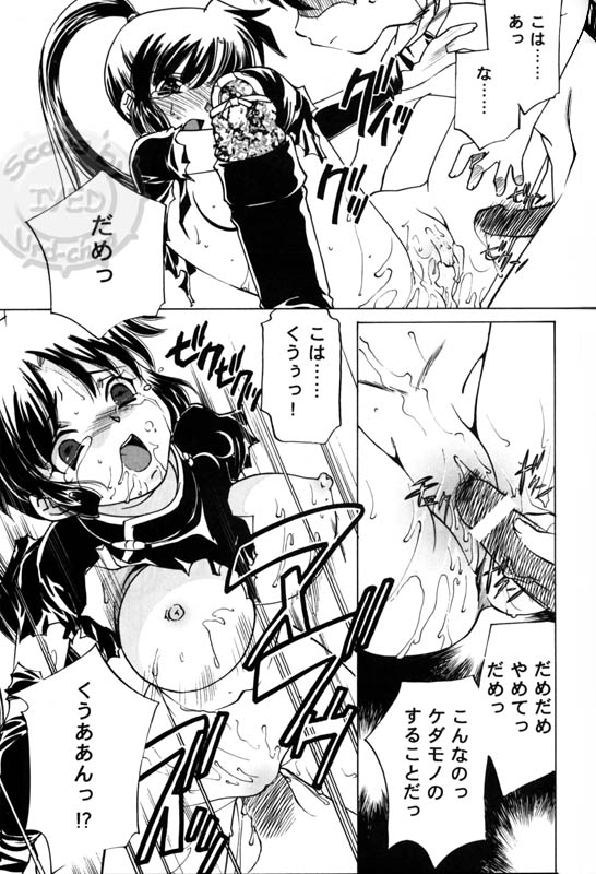 (C71) [Applesauce (Sada Ko-ji)] Taijiya Senki 3 VS Kaze (Inuyasha) - Page 12