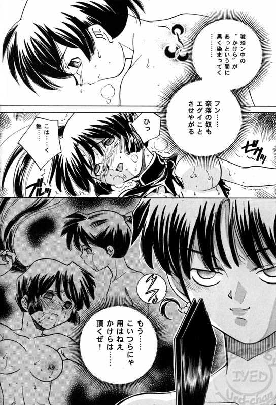 (C71) [Applesauce (Sada Ko-ji)] Taijiya Senki 3 VS Kaze (Inuyasha) - Page 17