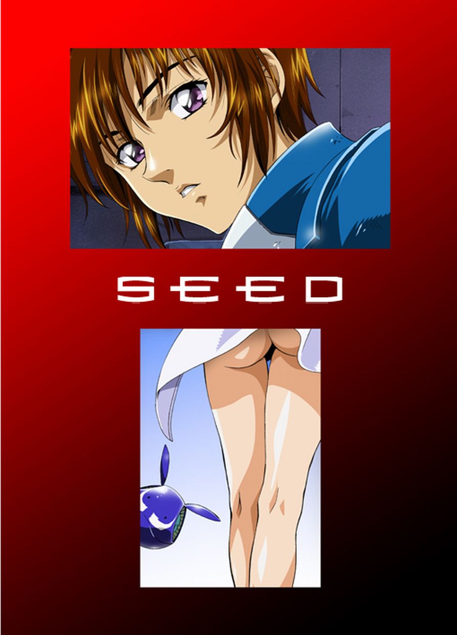 (C66) [HenReiKai (Kawarajima Koh)] Seed Another Century Plus (Gundam SEED) - Page 2