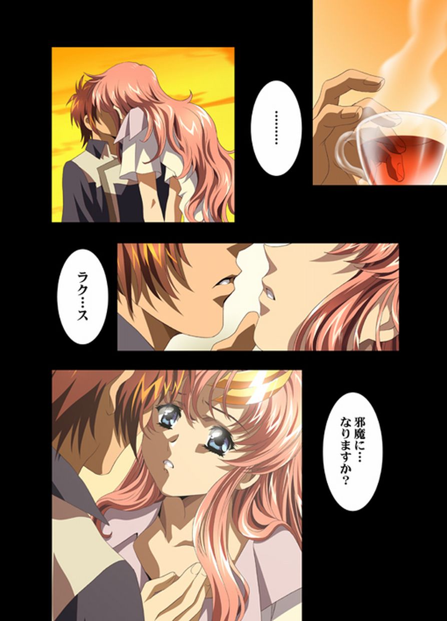 (C66) [HenReiKai (Kawarajima Koh)] Seed Another Century Plus (Gundam SEED) - Page 17