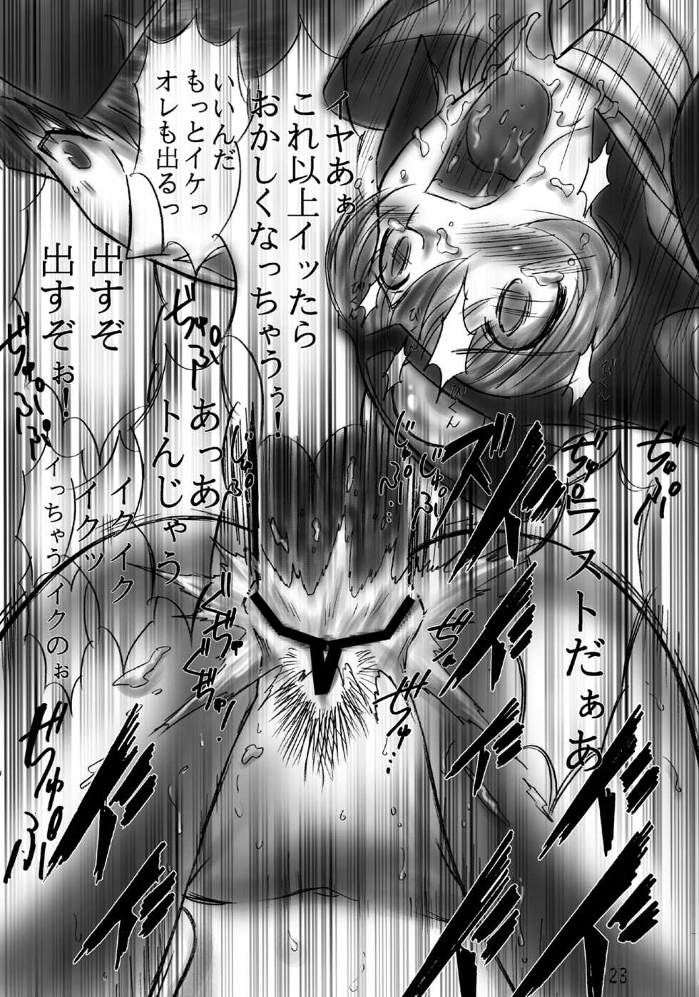 (C71) [Dark RoseEX-S (Hirooki)] JOB STAR 6 (Final Fantasy V) - Page 20