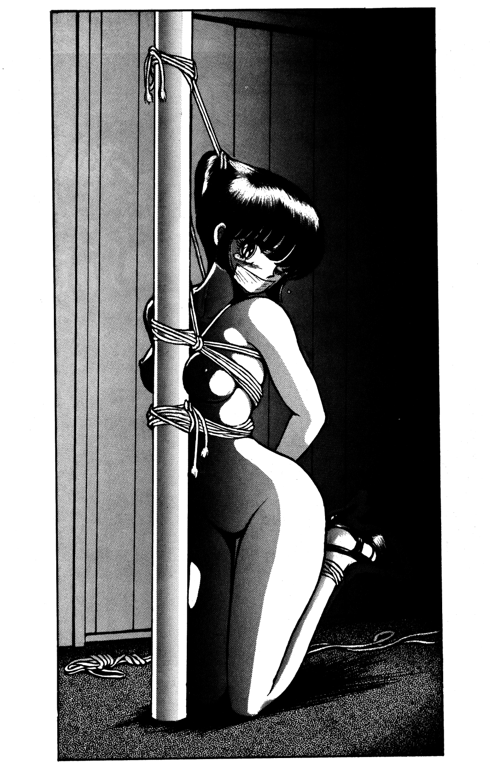 (C40) [STUDIO SHARAKU (Sharaku Seiya)] SHARAKU SPECIAL (Various) - Page 8