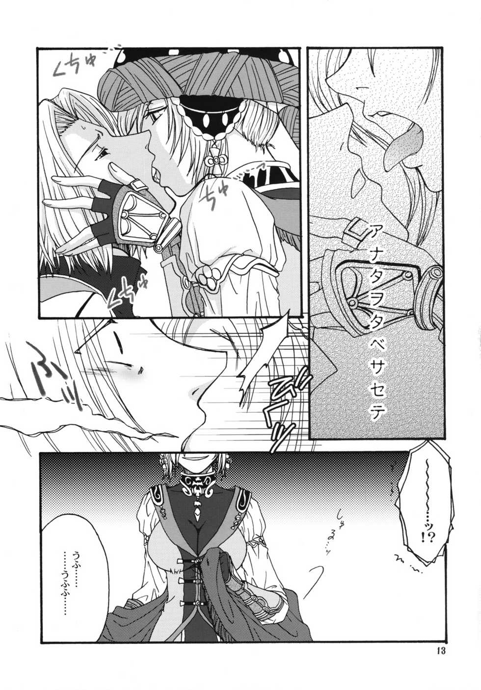 (C73) [Brough-Superior, Jikusando! (Tsujisaki Sou)] Kowareta Sekai (Final Fantasy XI) - Page 12