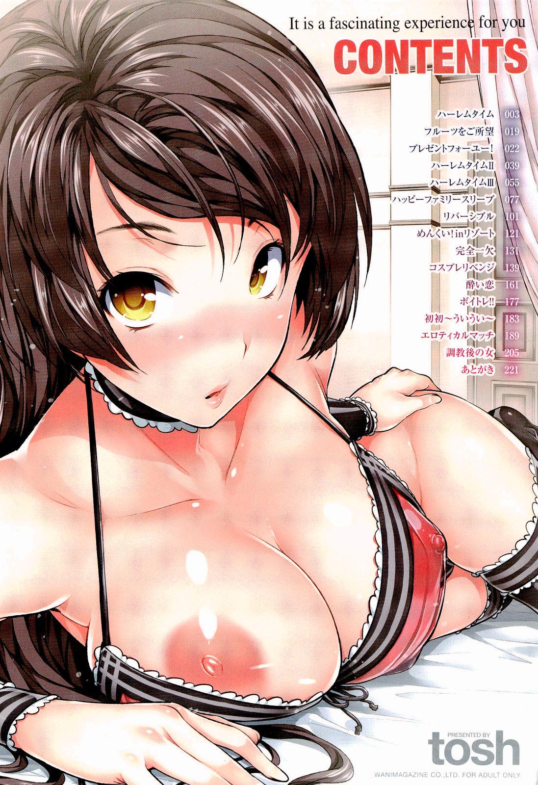 [Tosh] Harem Time (Complete, English) {AmaiLittleThing, doujin-moe.us, others} - Page 6