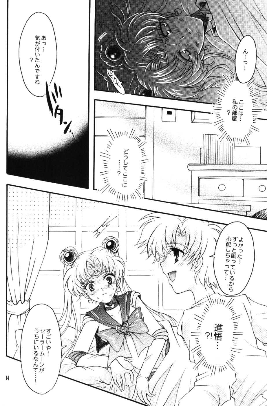 (C67) [Kotori Jimusho (Sakura Bunchou)] chanson de I'adieu (Sailor Moon) - Page 13