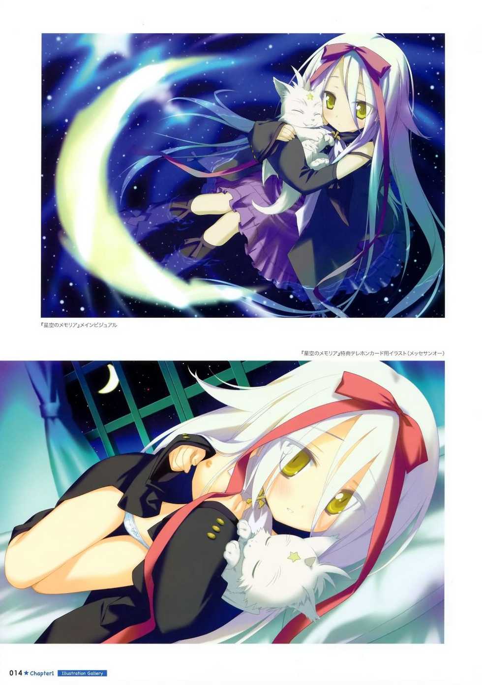 [Shida Kazuhiro] Shida Kazuhiro Artworks - Hoshizora no Memoria with Eternal Heart [Incomplete] - Page 12