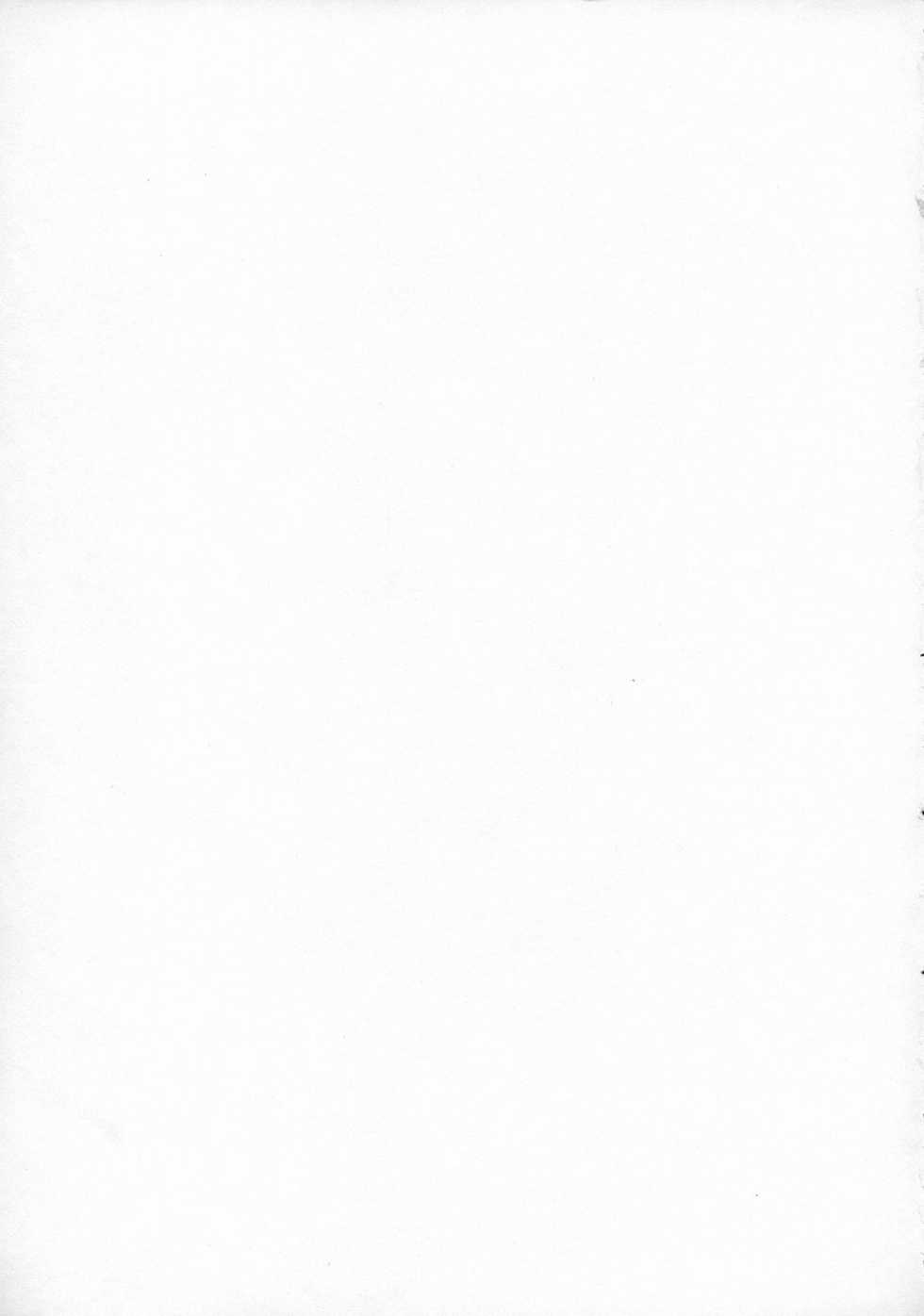 (CR36) [Celluloid-Acme (Chiba Toshirou)] Spitfire (Black Lagoon) - Page 2