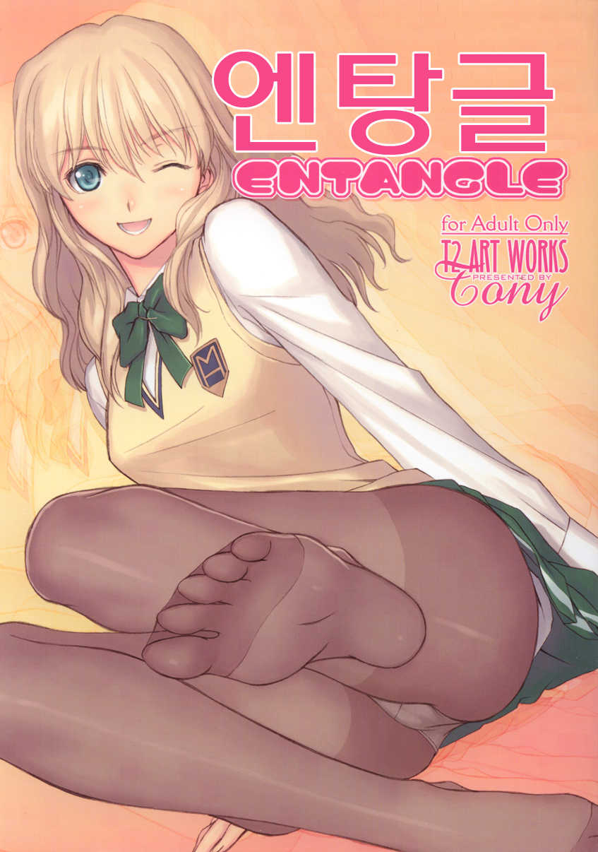 (C71) [T2 ART WORKS (Tony Taka)] Entangle (Zegapain) (korean) - Page 1