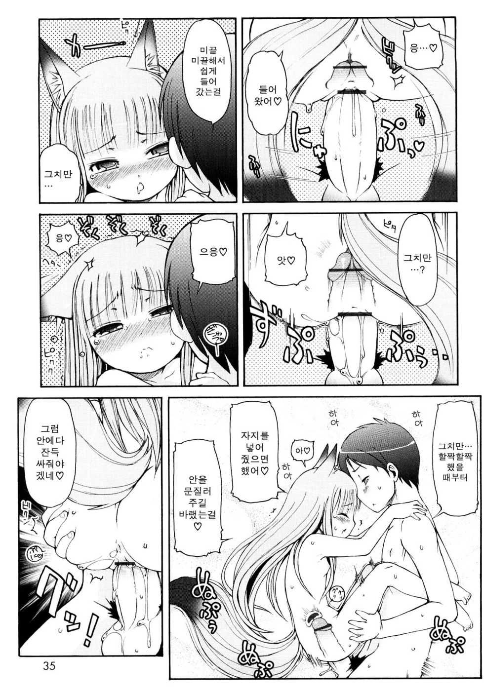 [LEE] Kemomimi Onsen e Youkoso [Korean] - Page 34
