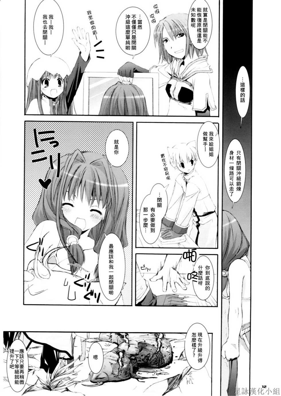 (CR37) [Digital Lover (Nakajima Yuka)] D.L. action 29 (Ragnarok Online) [Chinese] [星詠汉化组] - Page 12