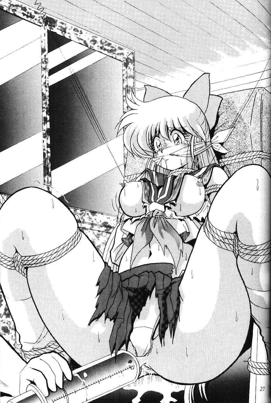 (C49) [Thirty Saver Street 2D Shooting, Studio Z-Agnam (Various)] 2D-Shooting (Sailor Moon) - Page 26