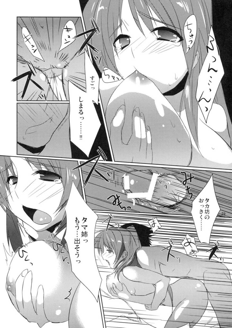 (C80) [Nekorobi (Nakajima Kotoko)] TAMAKON (ToHeart2 Dungeon Travelers) - Page 28