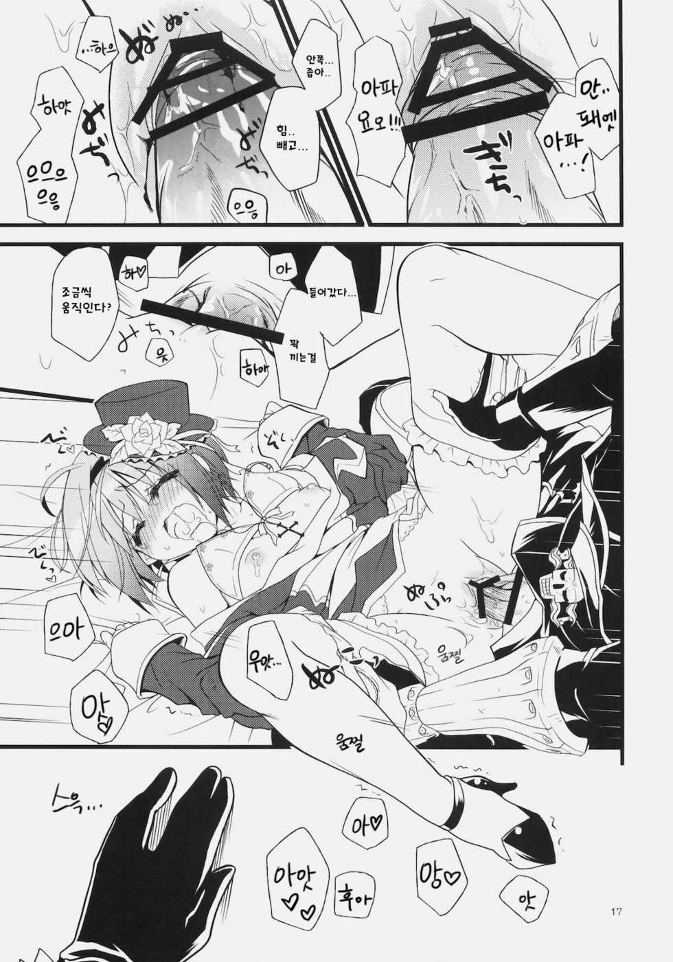 [Ryuknigthia (Kiduki Erika)] Daily RO 4 (Ragnarok Online) [Korean] - Page 16