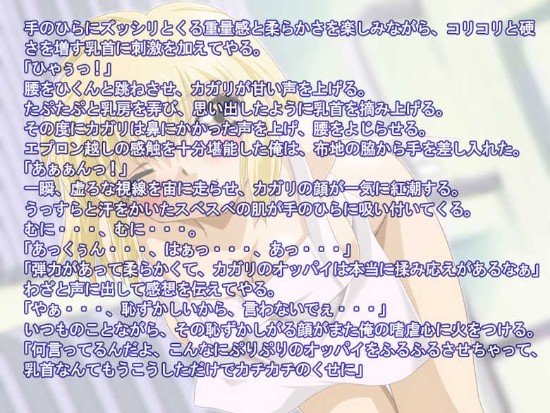[Milk House] Hime-tachi no utage (Gundam Seed) - Page 27