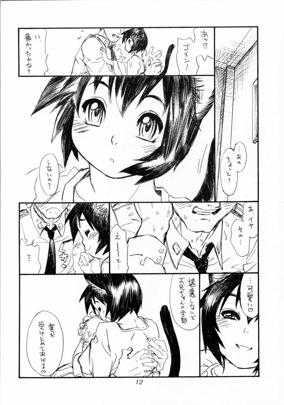 (C68) [Ryuutai Rikigaku (Akio Takami, Po-Ju)] BERRYS 508 - Page 11