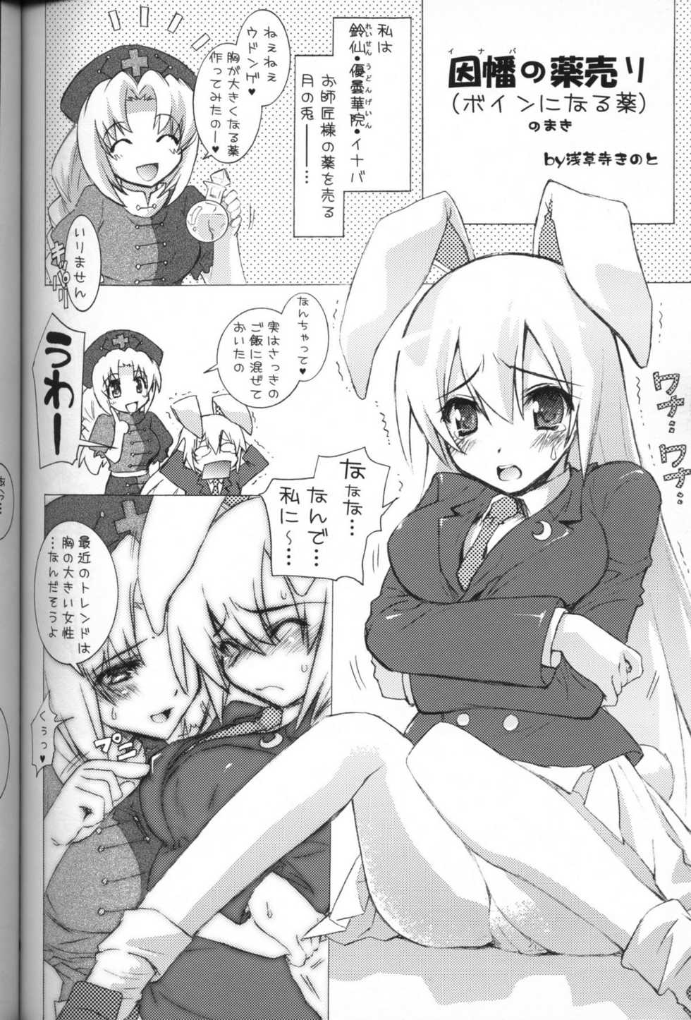 (C72) [Tiger 79 (Kagurazaka Nagu, Matra Milan, Sensouji Kinoto)] Hiyashi Udonge Hajimemashita. (Touhou Project) - Page 23