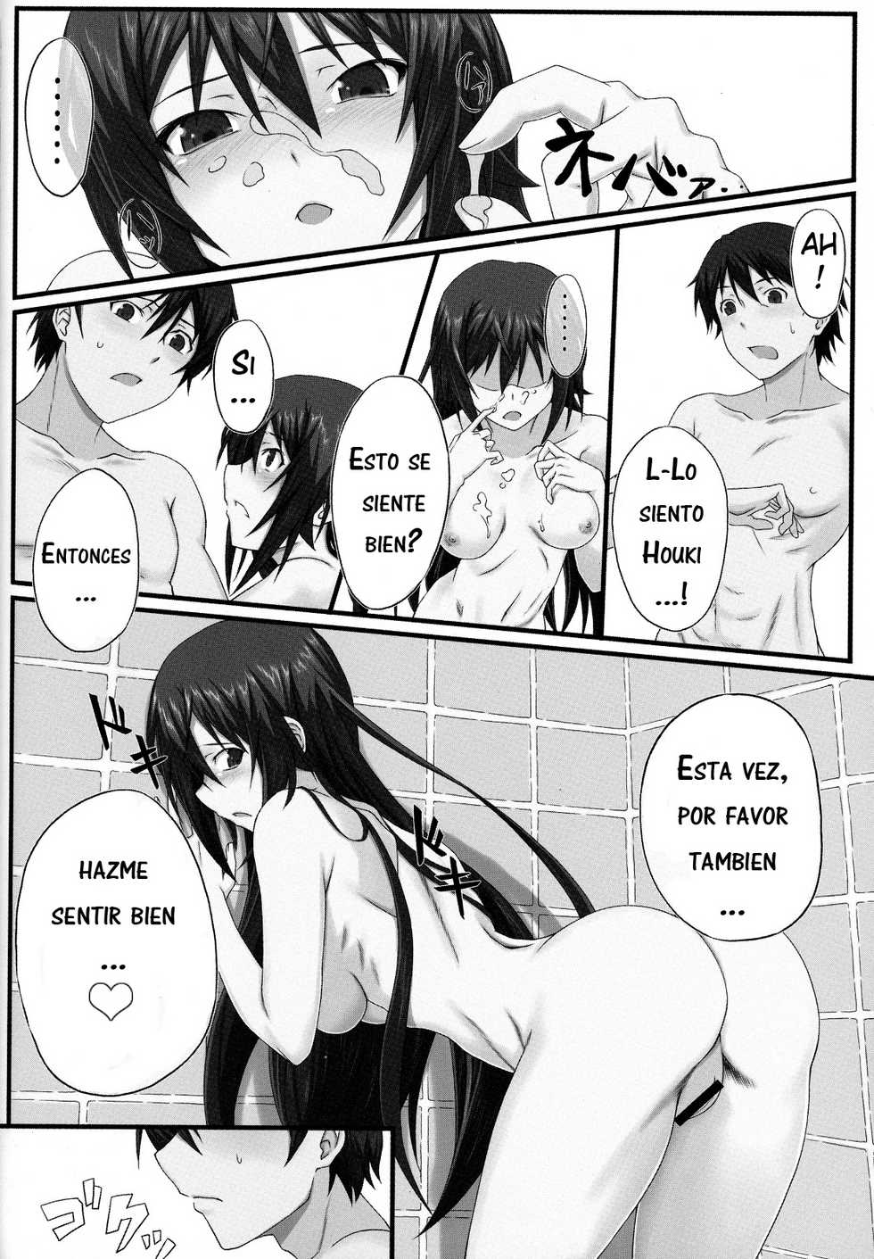 (COMIC1☆5) [Wonderful Life (Emanon)] Shinonono! (IS <Infinite Stratos>) [Spanish] [Afrodhi-SubDD] - Page 15