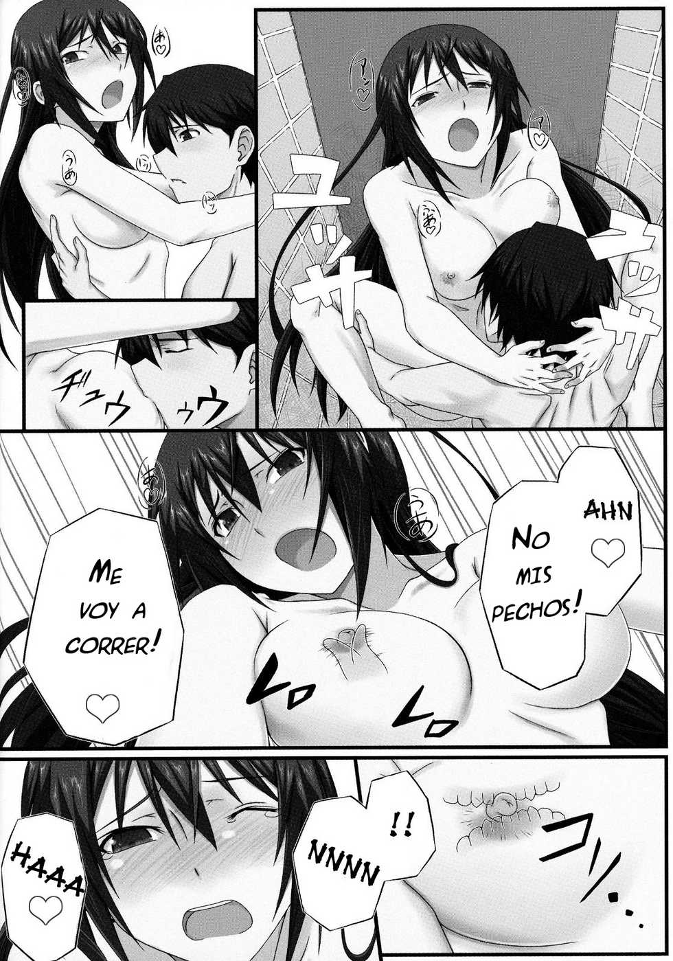 (COMIC1☆5) [Wonderful Life (Emanon)] Shinonono! (IS <Infinite Stratos>) [Spanish] [Afrodhi-SubDD] - Page 19