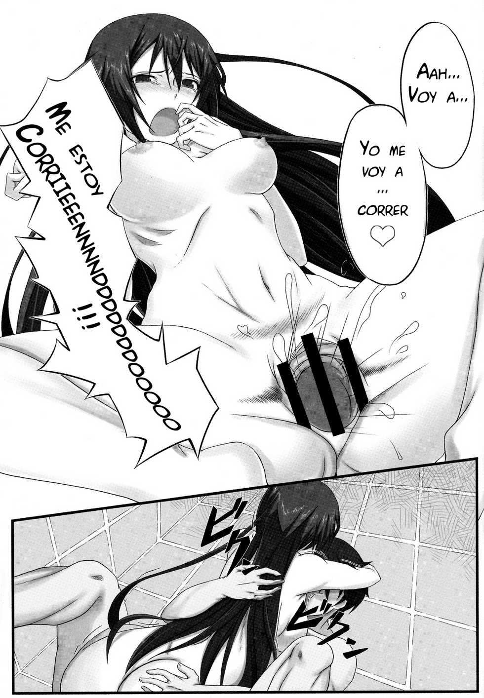 (COMIC1☆5) [Wonderful Life (Emanon)] Shinonono! (IS <Infinite Stratos>) [Spanish] [Afrodhi-SubDD] - Page 20