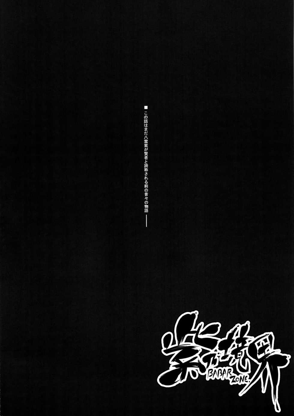 (C81) [Kikyakudou (Karateka Value)] Babar Zone (Touhou Project) - Page 4