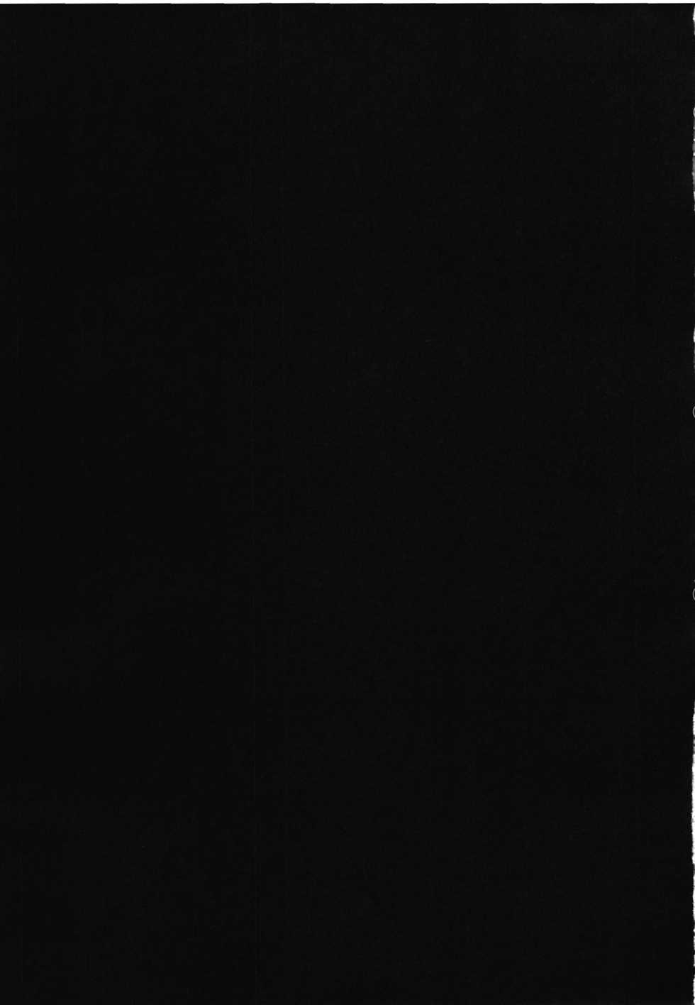 (C81) [Lagarto (Aida Mai)] Amor haeresis ～Itansha no Ai～ - Page 23