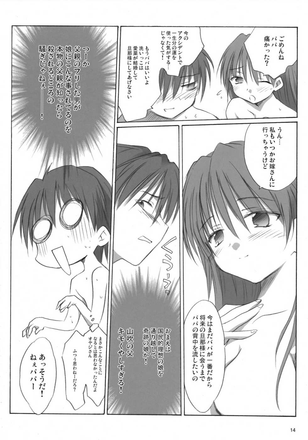 (C73) [Mizukidou (Mizuki Takehito)] My Brave Daddy - Page 13