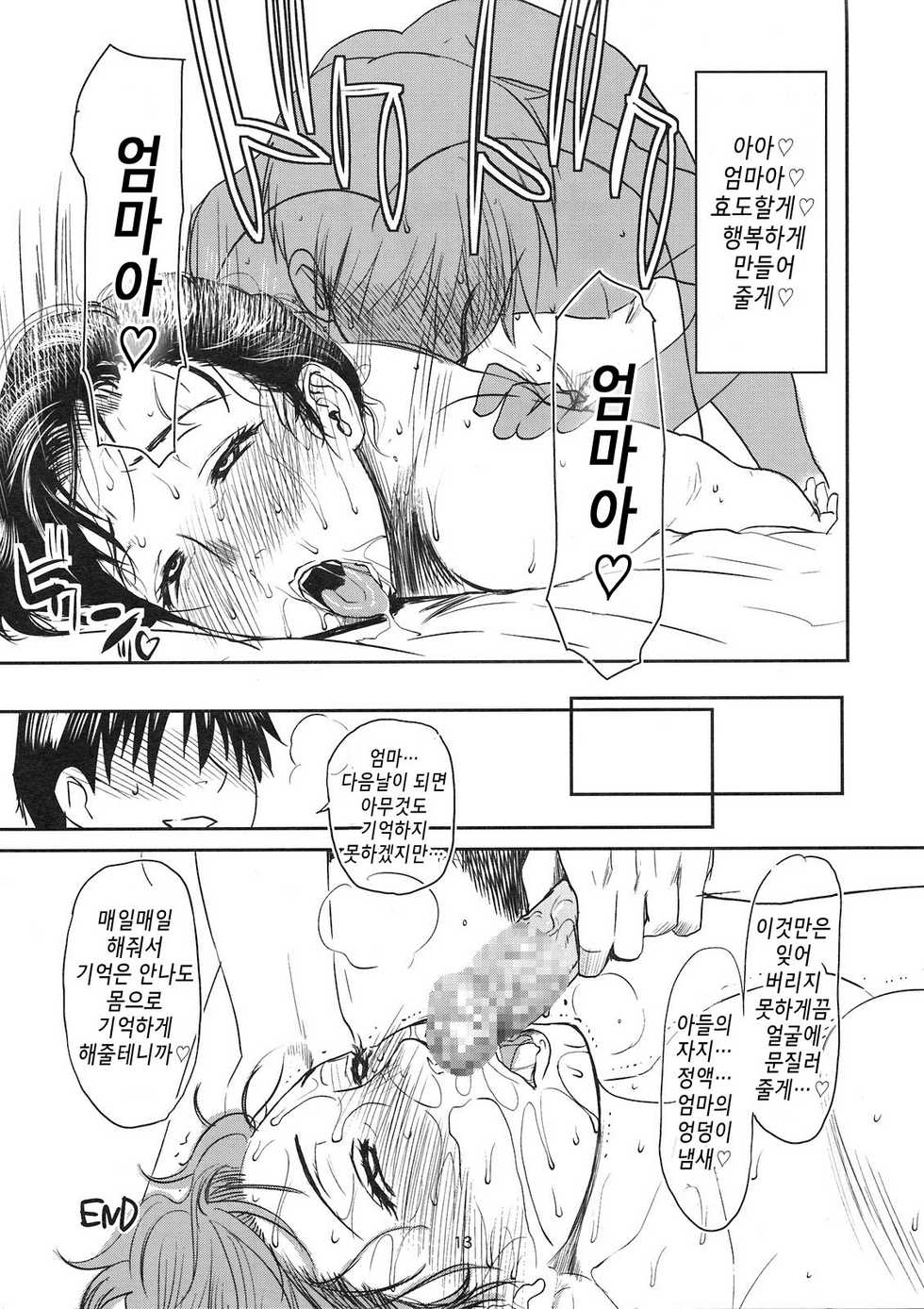 C81) [Miyabi Tsuzuru Bu (Miyabi Tsuzuru)] Nemuri Haha | 잠든 엄마 [Korean] [Project H] - Page 13