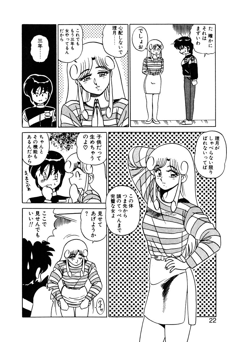 [Shinkuukan] Parallel Dangerous Vol. 1 - Page 21