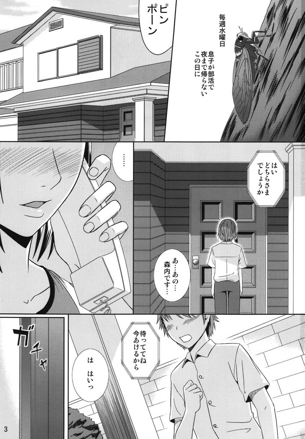 (C80) [Tenguren (Nario)] Boketsu o Horu 9 - Page 3