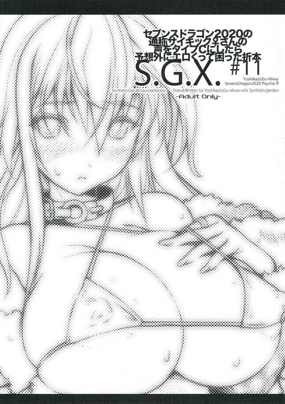 (C81) [Synthetic Garden (Miwa Yoshikazu)] S.G.X. #11 (7th Dragon 2020) - Page 1