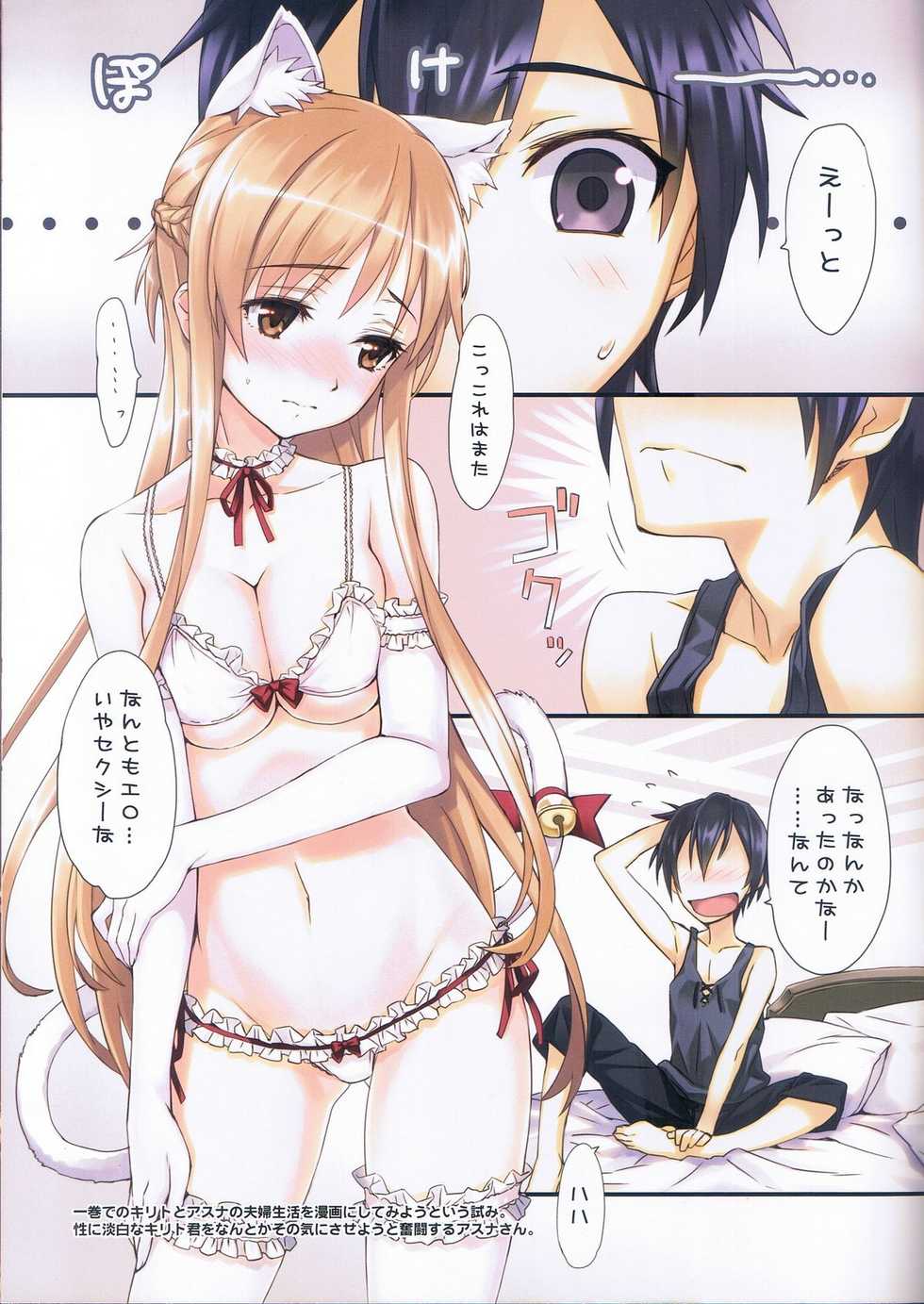 (C81) [ASTRO CREEP (Matsuryu)] Sword Art Extra Junbi-gou (Sword Art Online) - Page 3