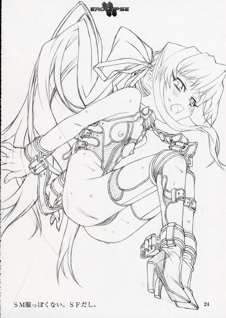 (C64) [StudioSPT (Kakenashi, Maihime)] Eroclipse ECLIPSE Genga & Rough Shuu & Omake - Page 25