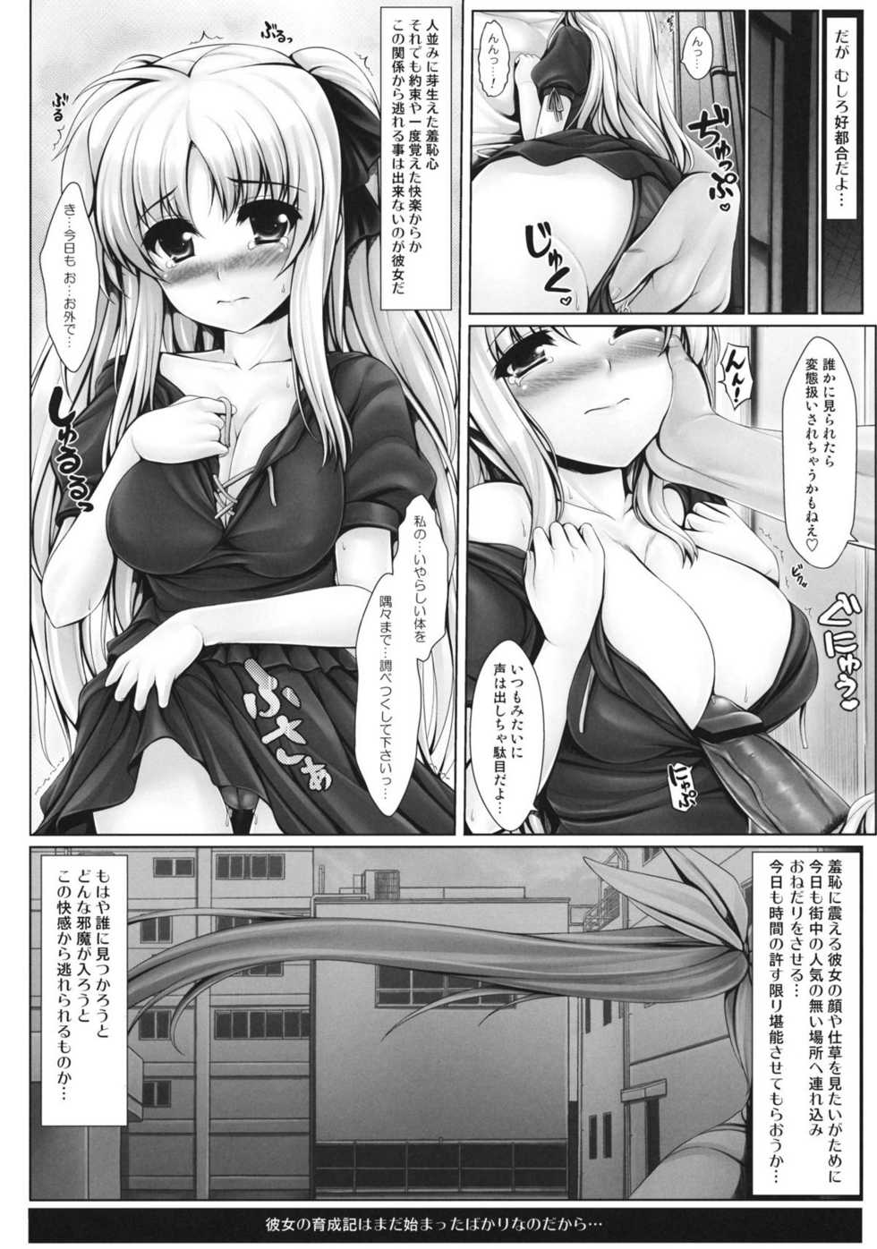 (C81) [Uni no Tane] Jinkou Mahou Shoujo Ikuseiki Jou (Mahou Shoujo Lyrical Nanoha) - Page 19