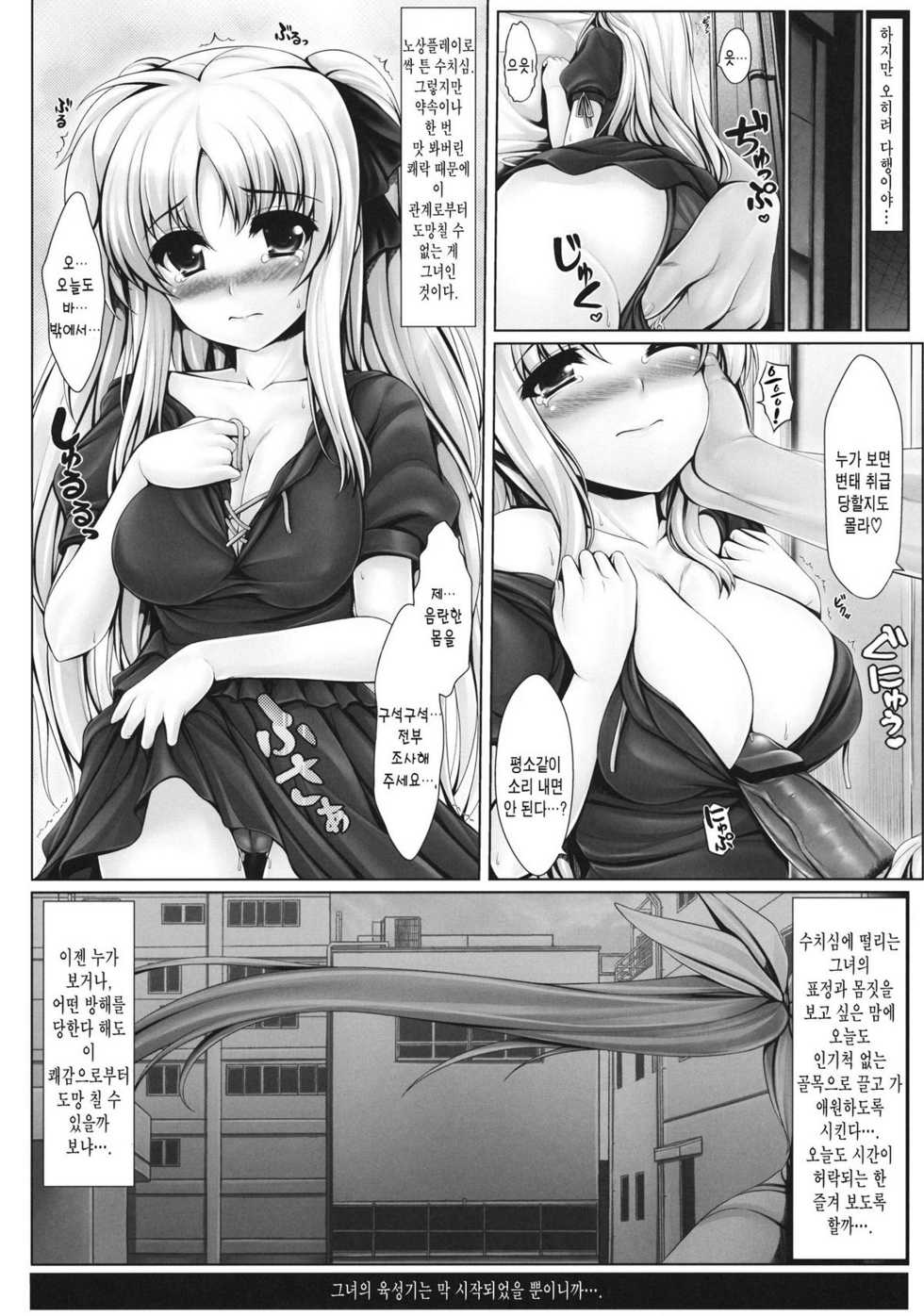 (C81) [Uni no Tane] Jinkou Mahou Shoujo Ikuseiki Jou (Mahou Shoujo Lyrical Nanoha) (korean) - Page 19