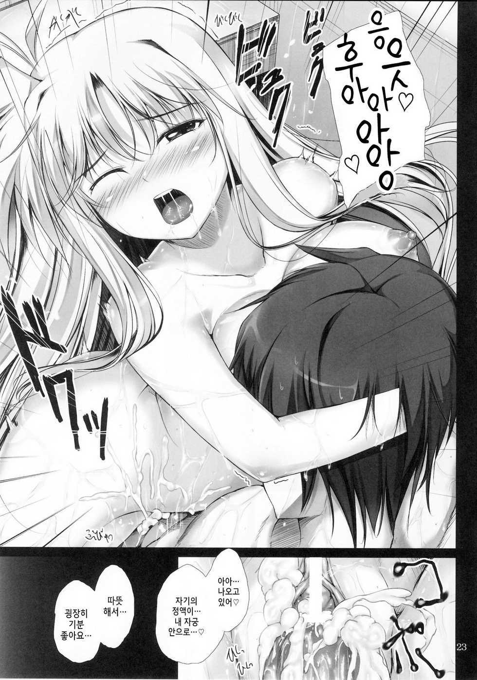 (C80) [IV VA SHIN (Mikuni Mizuki)] Home Sweet Home ～ Fate hen ～ (Mahou Shoujo Lyrical Nanoha) [Korean] [Project H] - Page 22