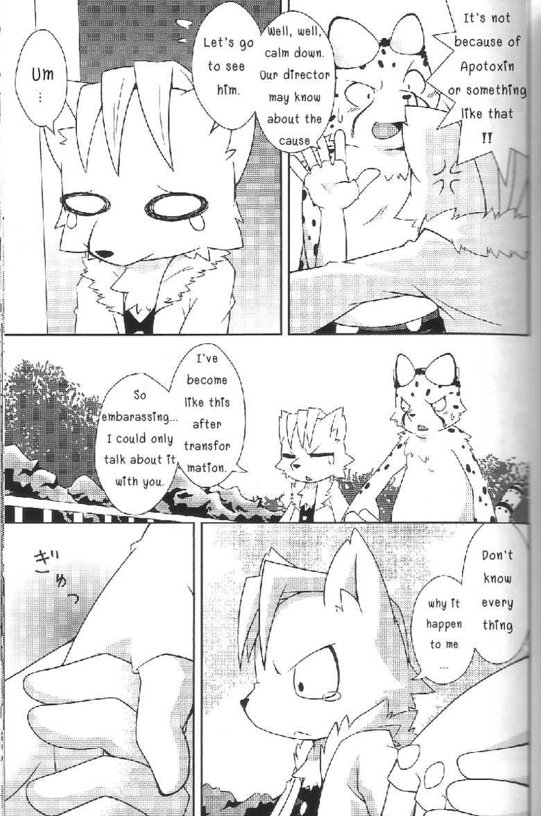 (Fur-st 2) [PELL-MELL WORKS (Kougami)] Aggressive (Oumagadoki Zoo) [English] - Page 6