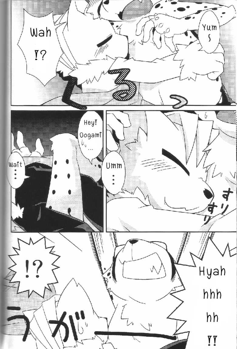 (Fur-st 2) [PELL-MELL WORKS (Kougami)] Aggressive (Oumagadoki Zoo) [English] - Page 13