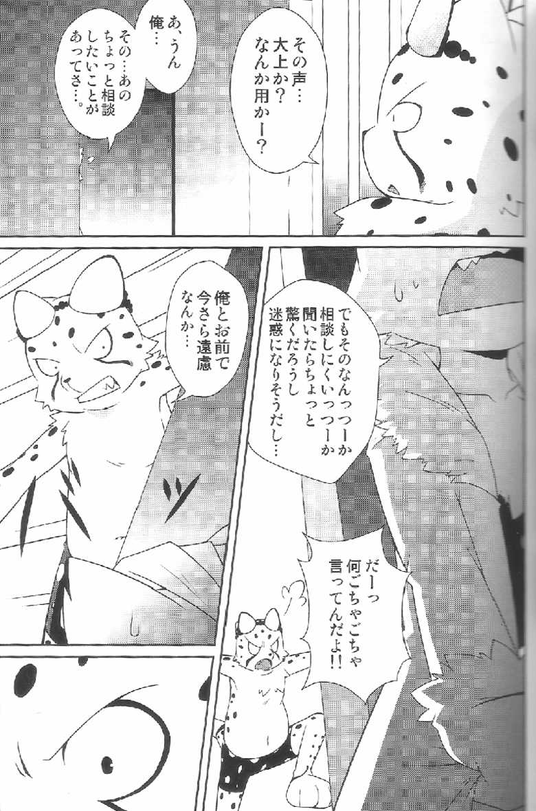 (Fur-st 2) [PELL-MELL WORKS (Kougami)] Aggressive (Oumagadoki Zoo) - Page 4