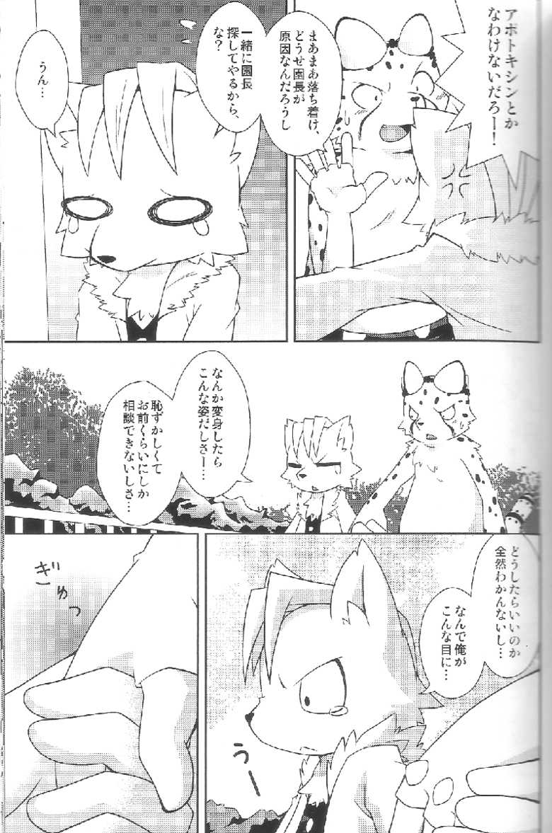 (Fur-st 2) [PELL-MELL WORKS (Kougami)] Aggressive (Oumagadoki Zoo) - Page 6