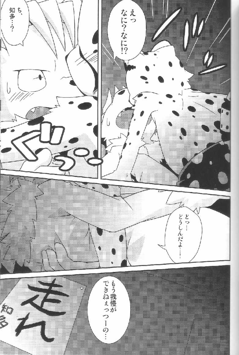 (Fur-st 2) [PELL-MELL WORKS (Kougami)] Aggressive (Oumagadoki Zoo) - Page 14