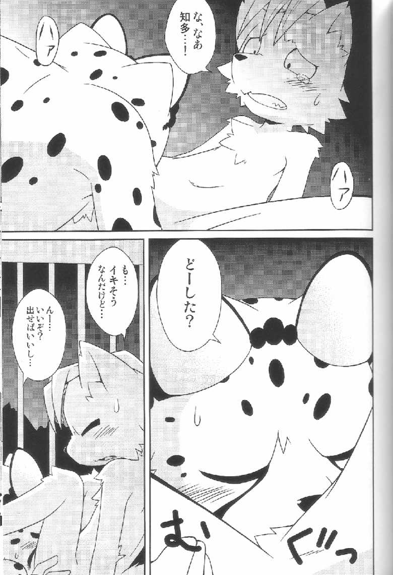 (Fur-st 2) [PELL-MELL WORKS (Kougami)] Aggressive (Oumagadoki Zoo) - Page 16