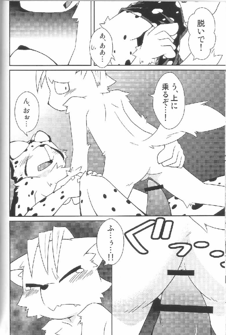 (Fur-st 2) [PELL-MELL WORKS (Kougami)] Aggressive (Oumagadoki Zoo) - Page 19