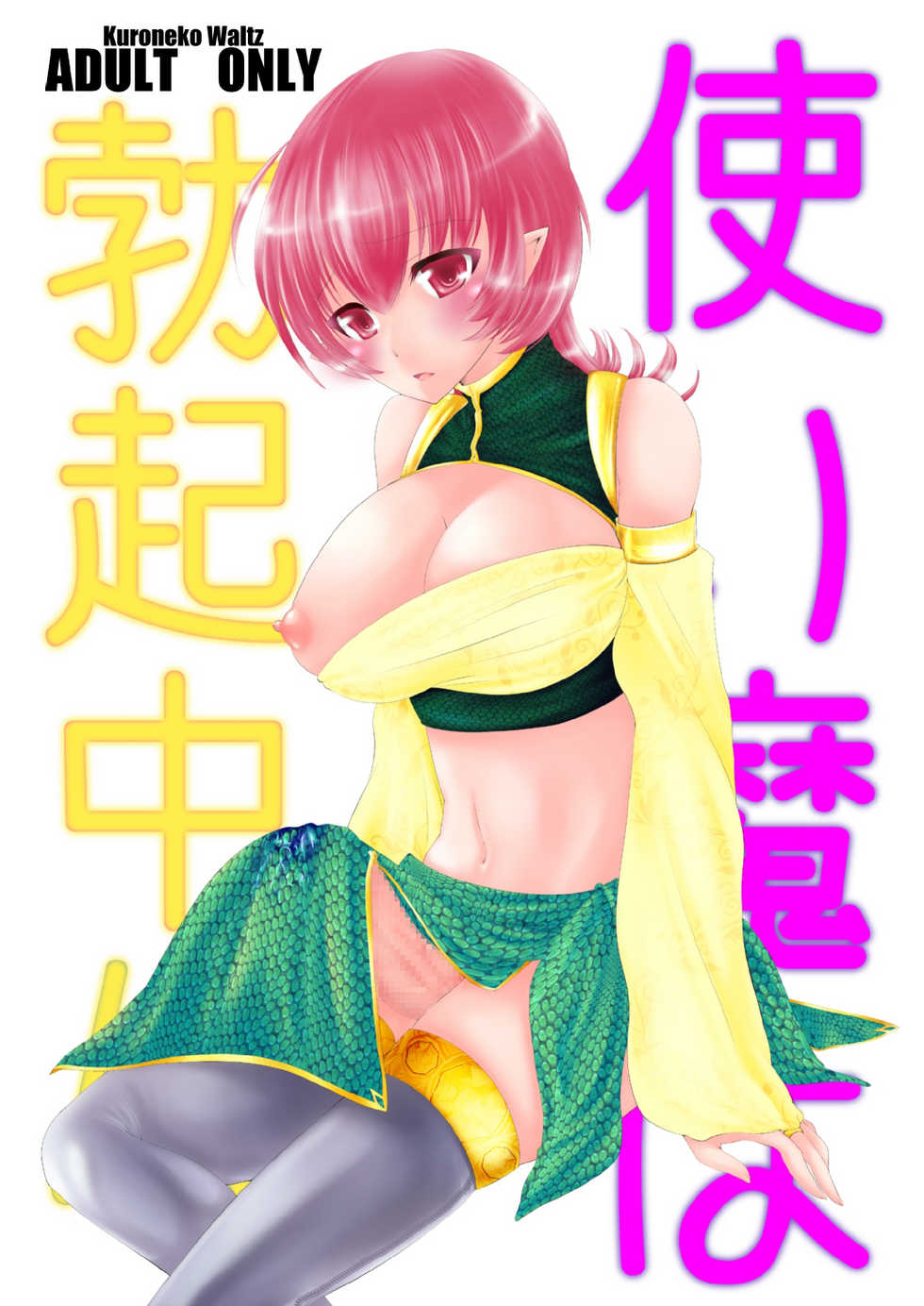 (COMITIA96) [Kuroneko Waltz (Ariichi Kyuu)] Tsukaima wa Bokki-chuu!? - Page 1