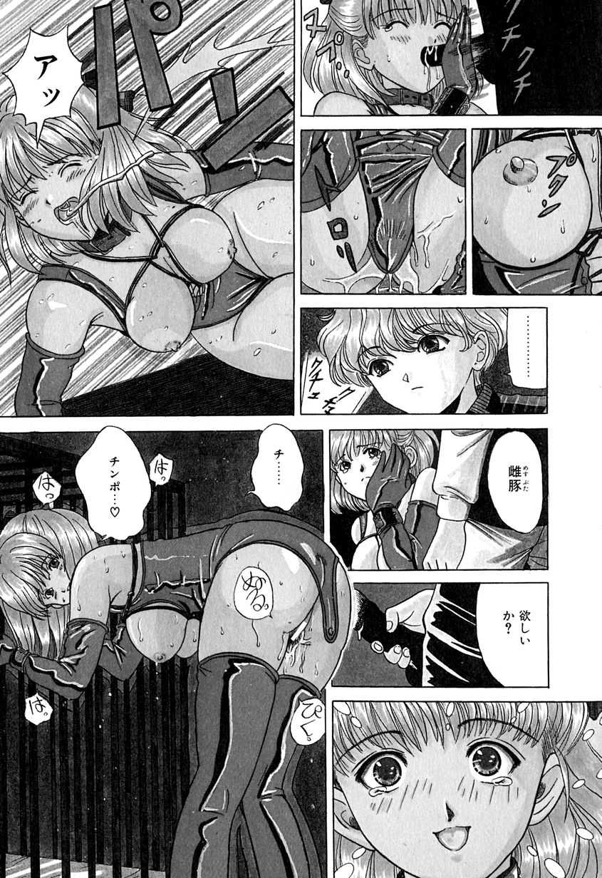 [Katsuragi Takumi] Chigyaku Shoujo - Page 11