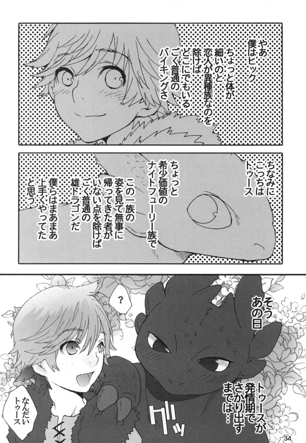 (C80) [Kon'na Tokoro no Kin'niku made Kitaeru nante... (Sugoi Kin'niku)] BEST PARTNER4 (How to Train Your Dragon) - Page 33