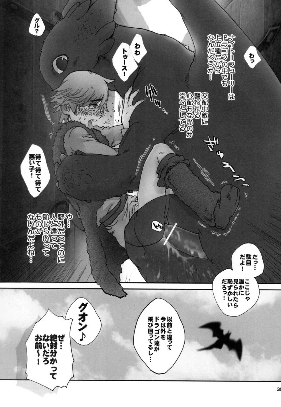 (C80) [Kon'na Tokoro no Kin'niku made Kitaeru nante... (Sugoi Kin'niku)] BEST PARTNER4 (How to Train Your Dragon) - Page 34