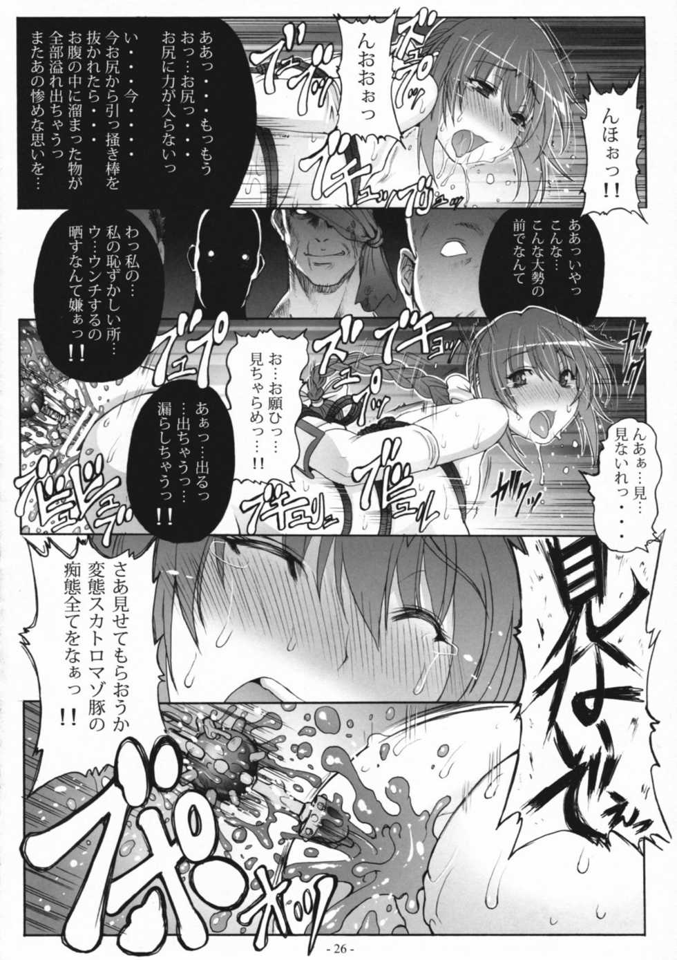 (C81) [Wolkenkratzer (Bontenkarasu, Erect Sawaru)] Decadence 3 (Dead or Alive) - Page 25