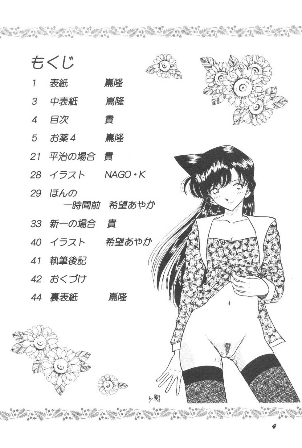 [Studio Boxer (Shima Takashi, Taka)] HOHETO 24 (Detective Conan) - Page 3