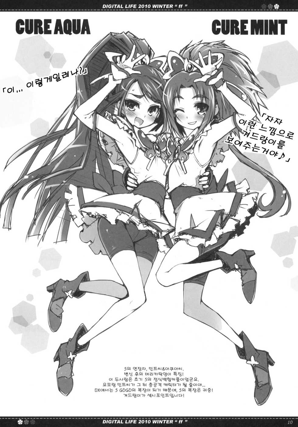 (C79) [life & Digital Flyer (Haga Yui & Ohta Yuuichi)] DIGITAL LIFE 2010 WINTER ff (Precure Series) (korean) - Page 9
